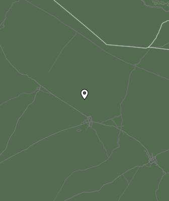 Валежи