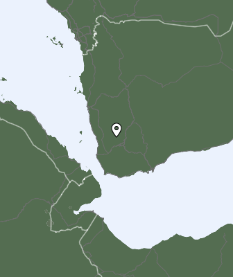 Precipitaţii