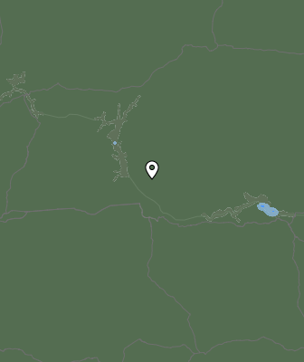 Niederschlagsprognose