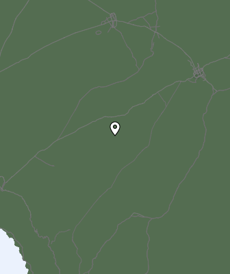 Niederschlagsprognose