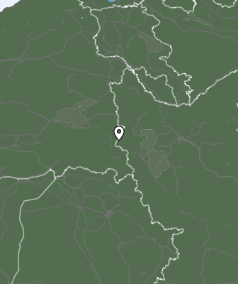 Niederschlagsprognose