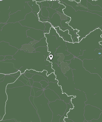 Niederschlagsprognose