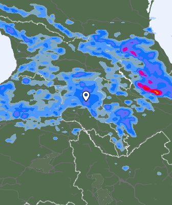 Niederschlagsprognose