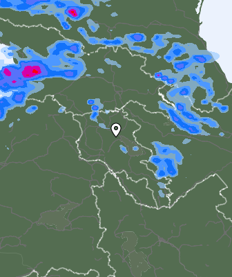 Валежи