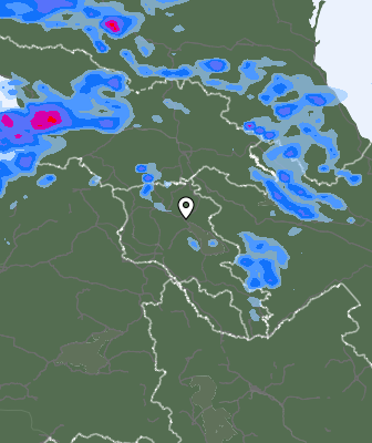 Валежи