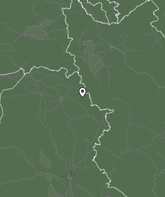 Niederschlagsprognose