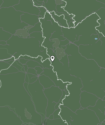 Niederschlagsprognose