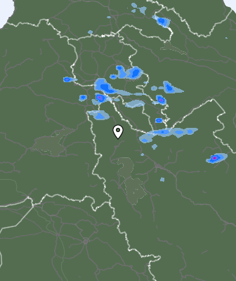 Niederschlagsprognose