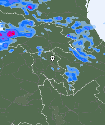 Валежи