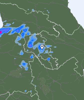 Валежи