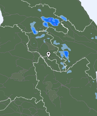 Niederschlagsprognose