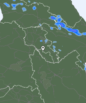 Niederschlagsprognose