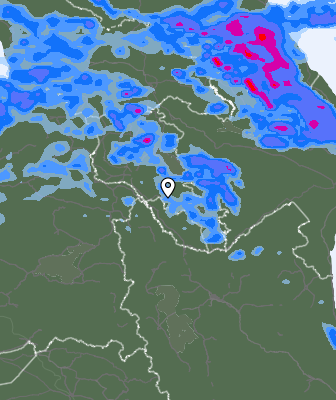 Niederschlagsprognose