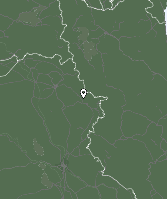 Niederschlagsprognose