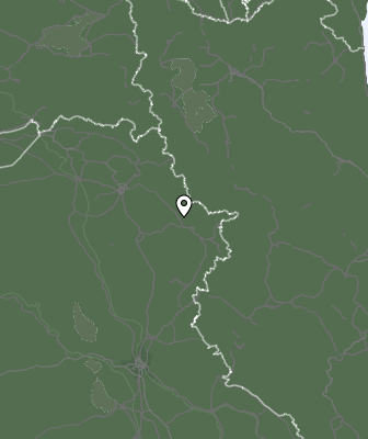 Niederschlagsprognose