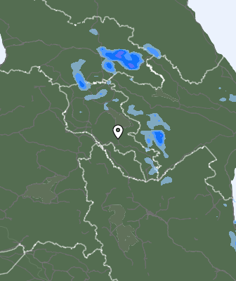 Niederschlagsprognose