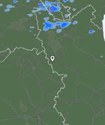 Niederschlagsprognose