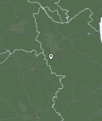 Niederschlagsprognose
