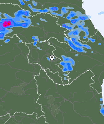 Валежи