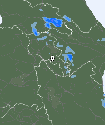 Niederschlagsprognose