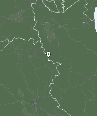 Niederschlagsprognose