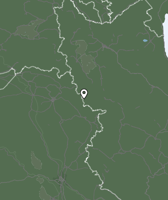 Niederschlagsprognose