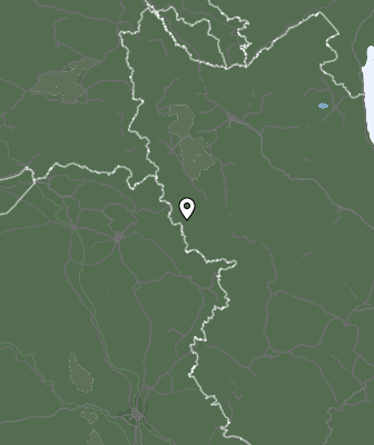 Niederschlagsprognose