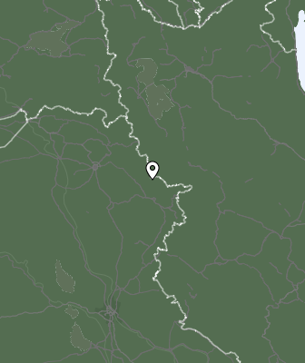 Niederschlagsprognose