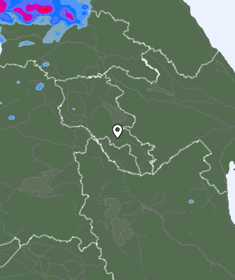 Niederschlagsprognose