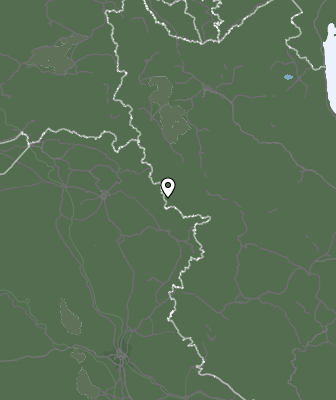 Niederschlagsprognose