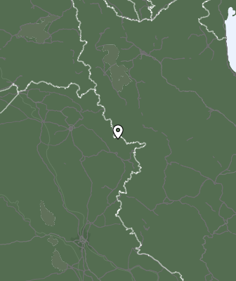 Niederschlagsprognose