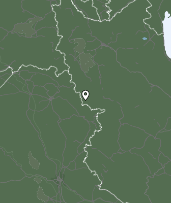 Niederschlagsprognose