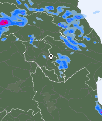Валежи