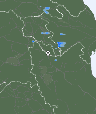 Niederschlagsprognose
