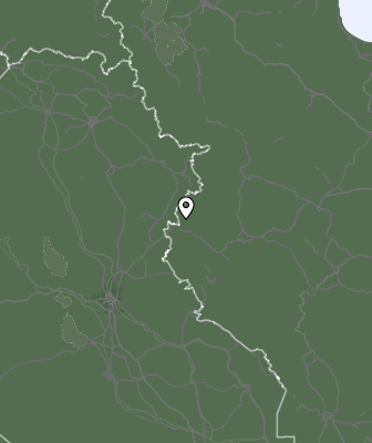 Niederschlagsprognose