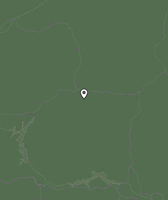 Niederschlagsprognose