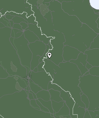 Niederschlagsprognose