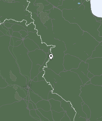 Niederschlagsprognose