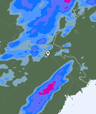 Niederschlagsprognose