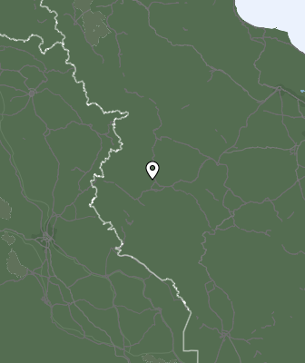 Niederschlagsprognose