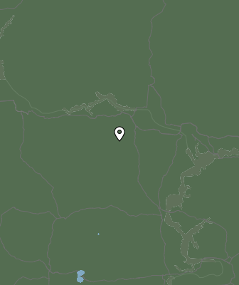 Niederschlagsprognose
