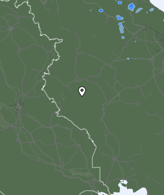 Niederschlagsprognose