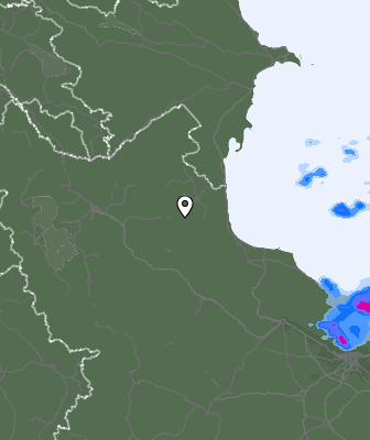 Niederschlagsprognose