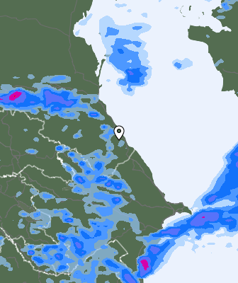 Niederschlagsprognose