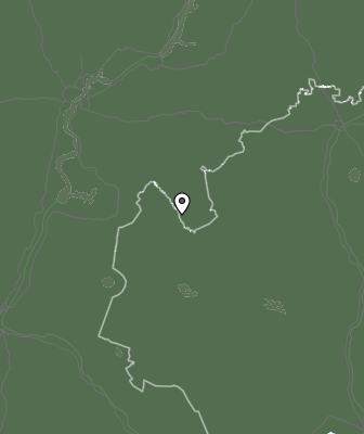 Niederschlagsprognose