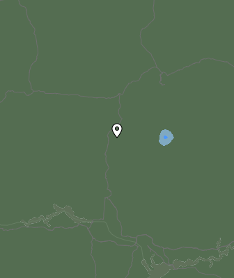 Niederschlagsprognose