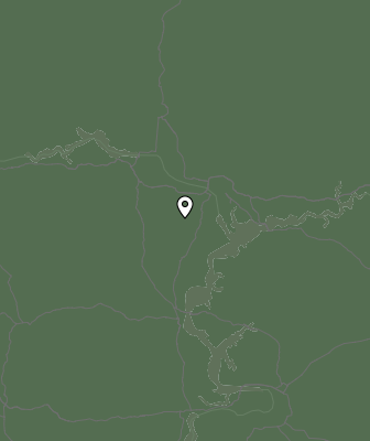Niederschlagsprognose