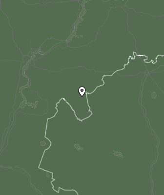 Niederschlagsprognose