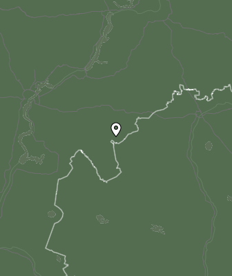 Niederschlagsprognose