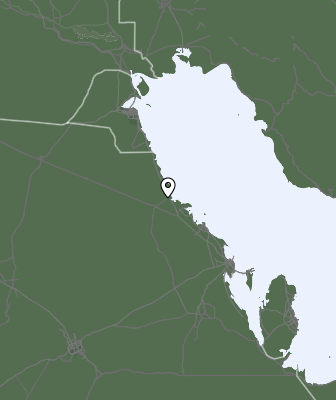 Neerslag